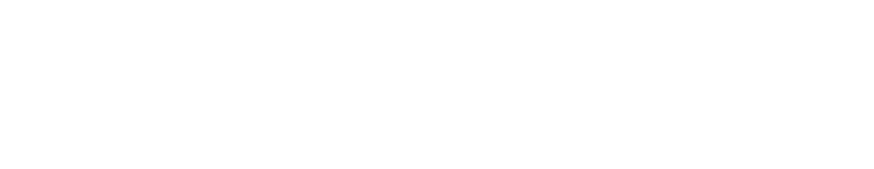 Chicane Logo